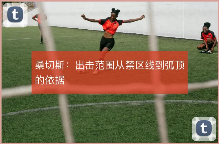 桑切斯：出击范围从禁区线到弧顶的依据
