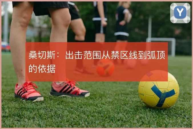 桑切斯：出击范围从禁区线到弧顶的依据