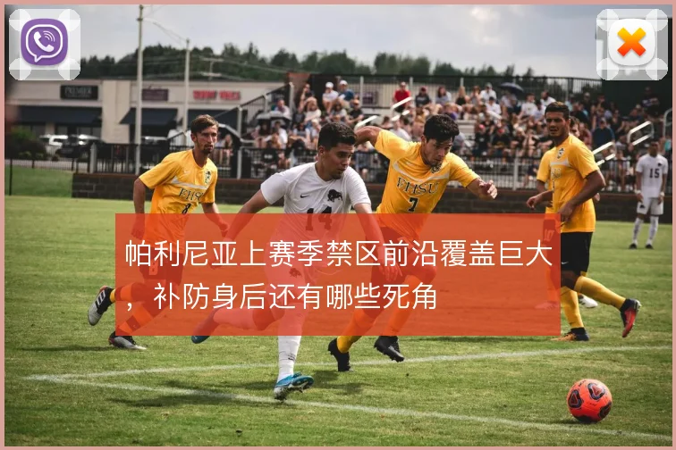 帕利尼亚上赛季禁区前沿覆盖巨大，补防身后还有哪些死角