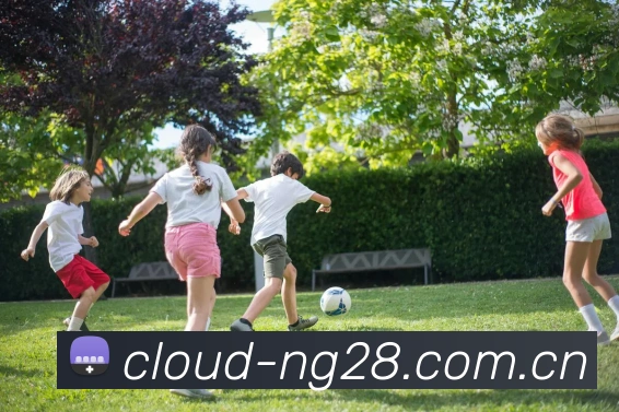 NG28APP 封面图